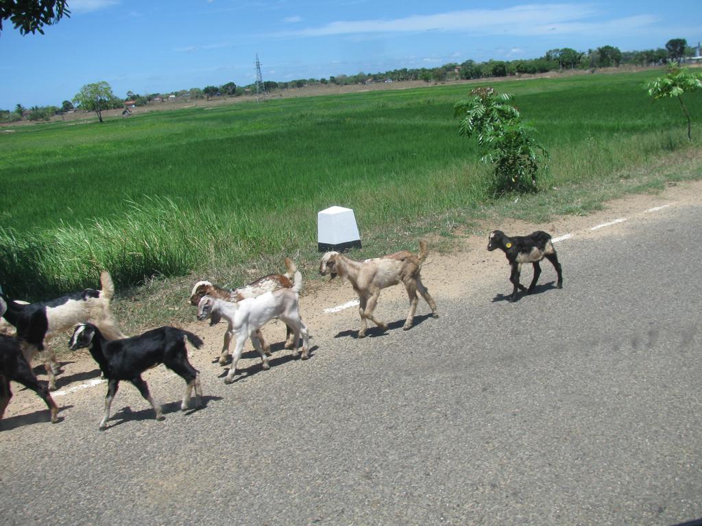 4You เอลลา ภายนอก รูปภาพ